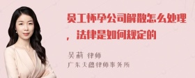 员工怀孕公司解散怎么处理，法律是如何规定的