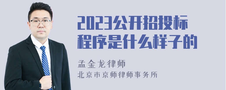 2023公开招投标程序是什么样子的