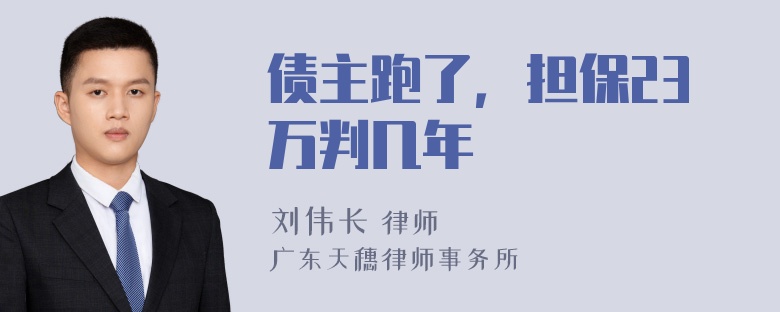 债主跑了，担保23万判几年