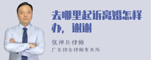 去哪里起诉离婚怎样办，谢谢