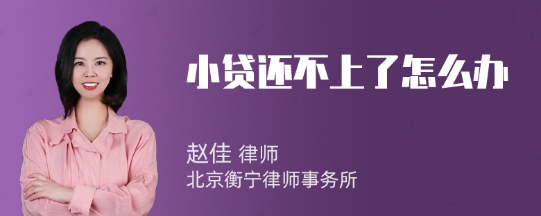 小贷还不上了怎么办