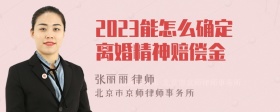 2023能怎么确定离婚精神赔偿金