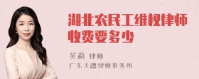 湖北农民工维权律师收费要多少