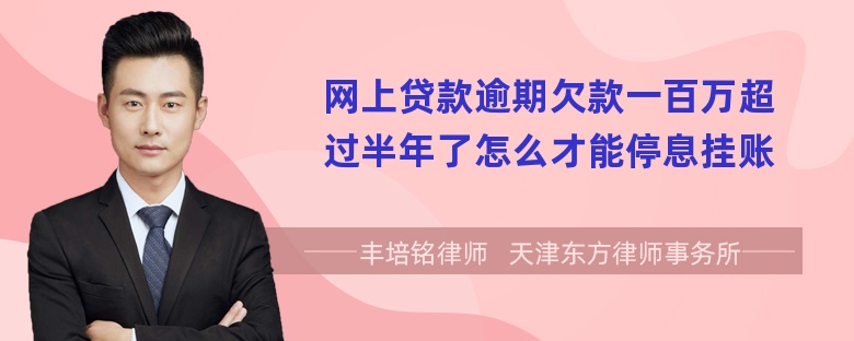 网上贷款逾期欠款一百万超过半年了怎么才能停息挂账