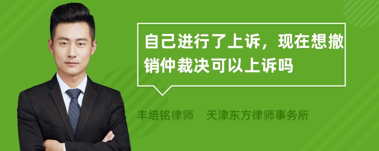 自己进行了上诉，现在想撤销仲裁决可以上诉吗