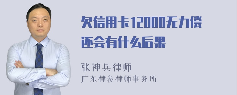 欠信用卡12000无力偿还会有什么后果