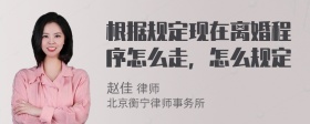 根据规定现在离婚程序怎么走，怎么规定