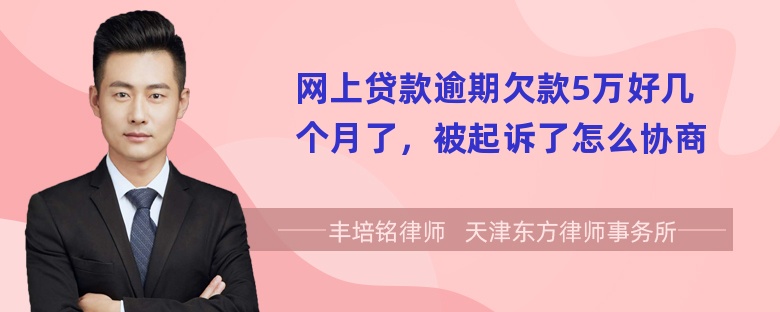 网上贷款逾期欠款5万好几个月了，被起诉了怎么协商