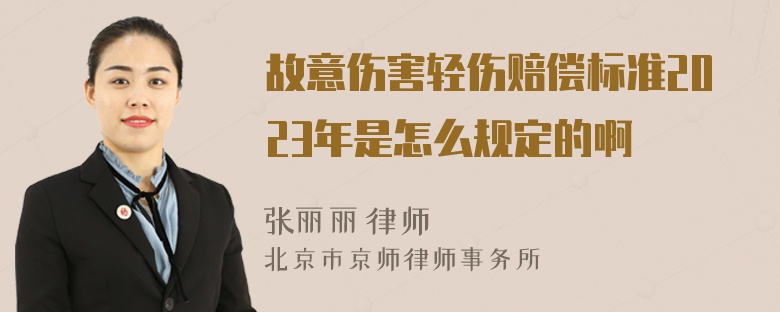 故意伤害轻伤赔偿标准2023年是怎么规定的啊