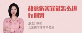 故意伤害罪能怎么进行刑罚