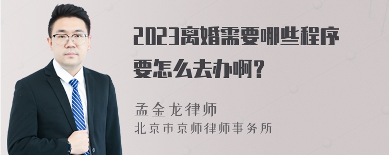 2023离婚需要哪些程序要怎么去办啊？