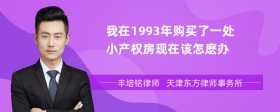 我在1993年购买了一处小产权房现在该怎麽办