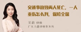 交通事故致两人死亡，一人重伤怎么判，保险全保