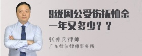 9级因公受伤抚恤金一年又多少？？