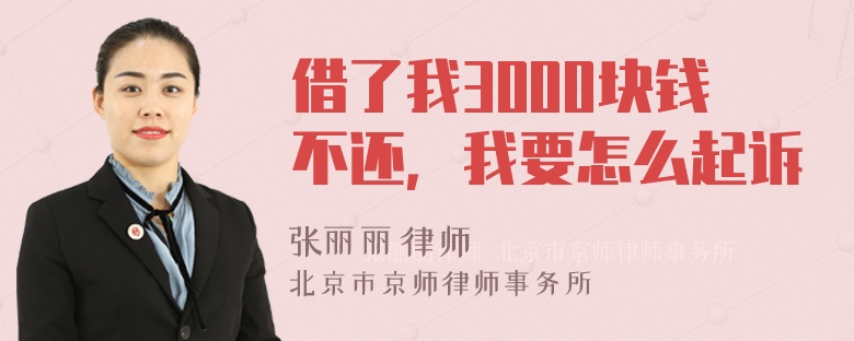 借了我3000块钱不还，我要怎么起诉