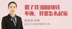 借了我3000块钱不还，我要怎么起诉