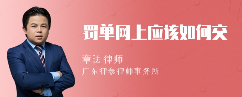 罚单网上应该如何交