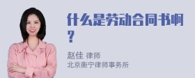 什么是劳动合同书啊？