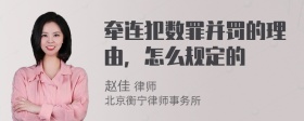 牵连犯数罪并罚的理由，怎么规定的