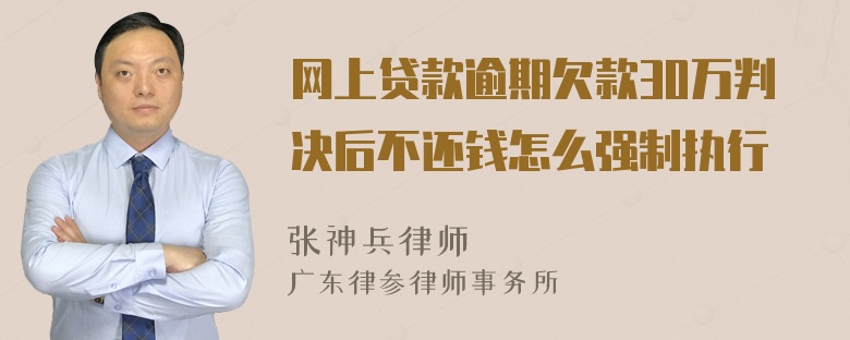 网上贷款逾期欠款30万判决后不还钱怎么强制执行