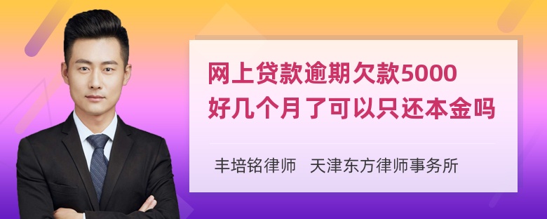 网上贷款逾期欠款5000好几个月了可以只还本金吗