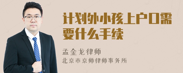 计划外小孩上户口需要什么手续