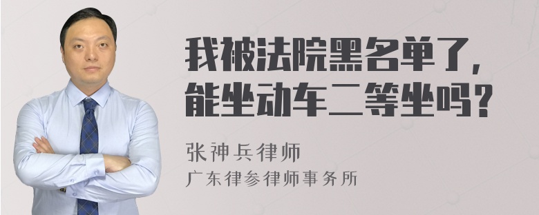 我被法院黑名单了，能坐动车二等坐吗？