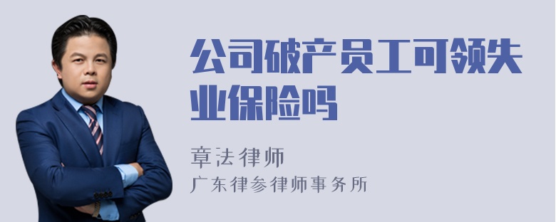 公司破产员工可领失业保险吗