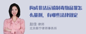 构成非法运输制毒物品罪怎么量刑，有哪些法律规定