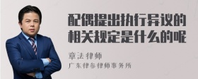 配偶提出执行异议的相关规定是什么的呢