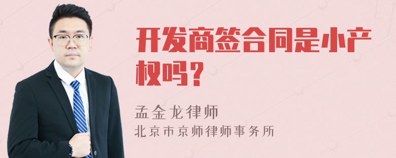 开发商签合同是小产权吗？