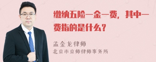 缴纳五险一金一费，其中一费指的是什么？