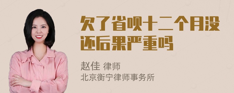 欠了省呗十二个月没还后果严重吗