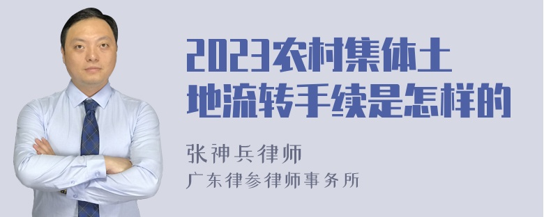 2023农村集体土地流转手续是怎样的