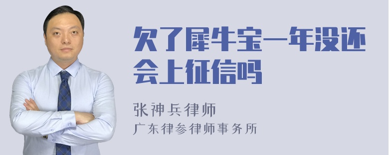 欠了犀牛宝一年没还会上征信吗