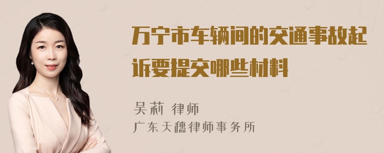 万宁市车辆间的交通事故起诉要提交哪些材料