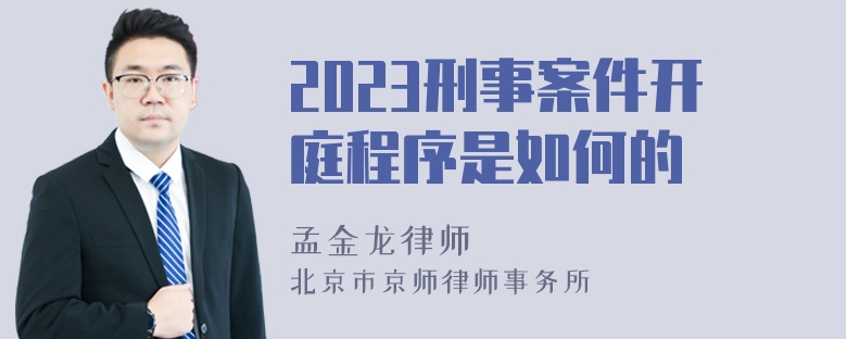 2023刑事案件开庭程序是如何的