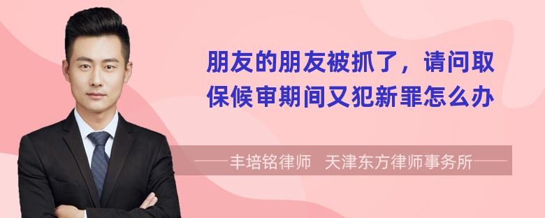 朋友的朋友被抓了，请问取保候审期间又犯新罪怎么办