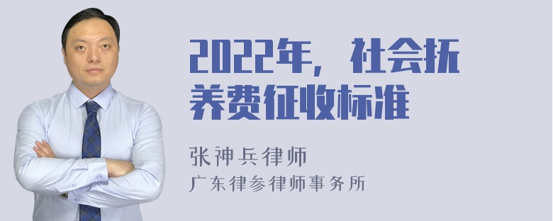 2022年，社会抚养费征收标准