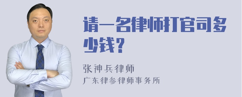 请一名律师打官司多少钱？