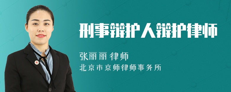 刑事辩护人辩护律师