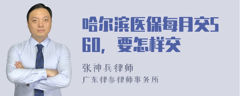 哈尔滨医保每月交560，要怎样交