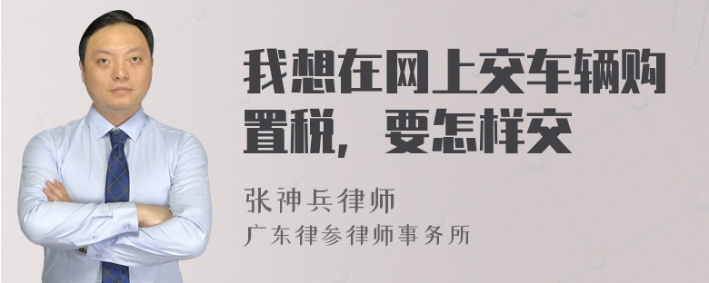 我想在网上交车辆购置税，要怎样交
