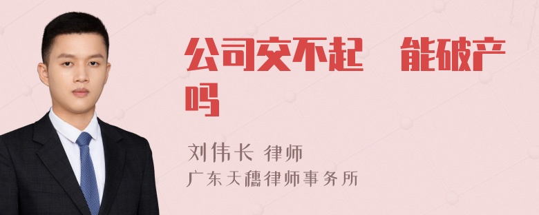 公司交不起稅能破产吗