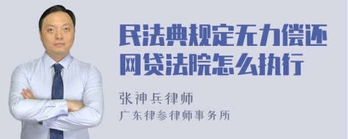 民法典规定无力偿还网贷法院怎么执行