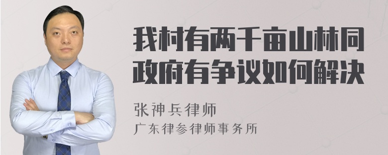 我村有两千亩山林同政府有争议如何解决