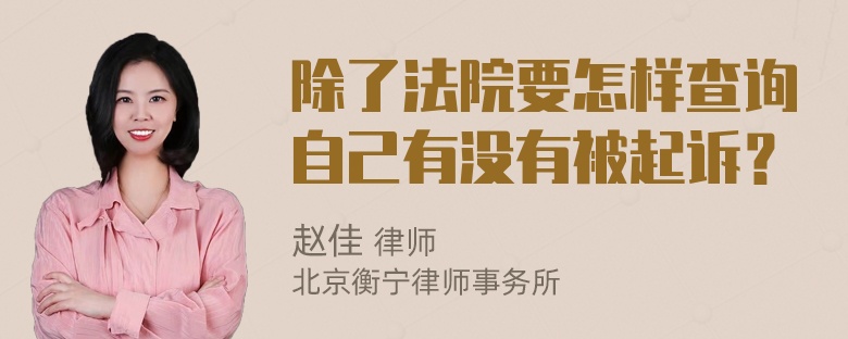 除了法院要怎样查询自己有没有被起诉？