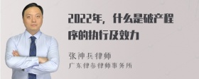 2022年，什么是破产程序的执行及效力