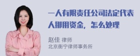 一人有限责任公司法定代表人挪用资金，怎么处理