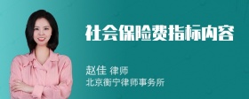 社会保险费指标内容